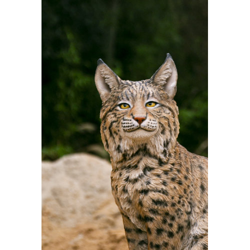 HiLine Gift Ltd. Sitting Bobcat Statue Wayfair